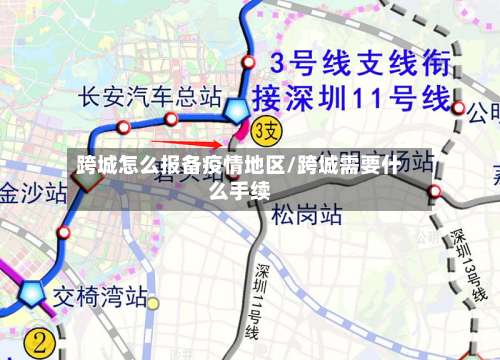 跨城怎么报备疫情地区/跨城需要什么手续-第1张图片