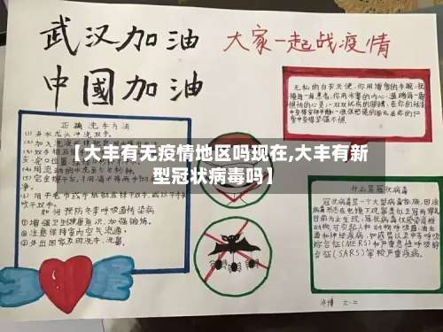 【大丰有无疫情地区吗现在,大丰有新型冠状病毒吗】-第1张图片
