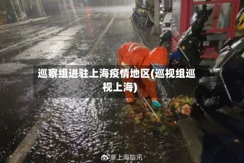 巡察组进驻上海疫情地区(巡视组巡视上海)-第2张图片