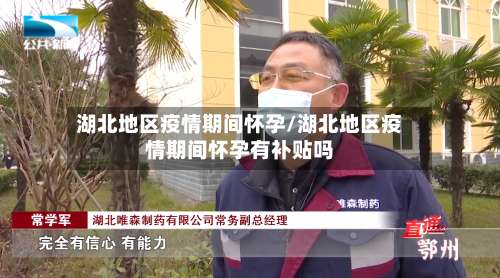 湖北地区疫情期间怀孕/湖北地区疫情期间怀孕有补贴吗-第2张图片