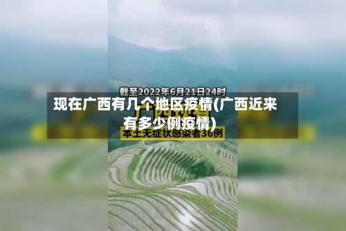 现在广西有几个地区疫情(广西近来有多少例疫情)-第3张图片