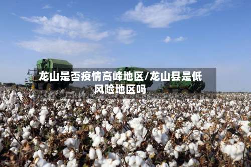 龙山是否疫情高峰地区/龙山县是低风险地区吗-第3张图片