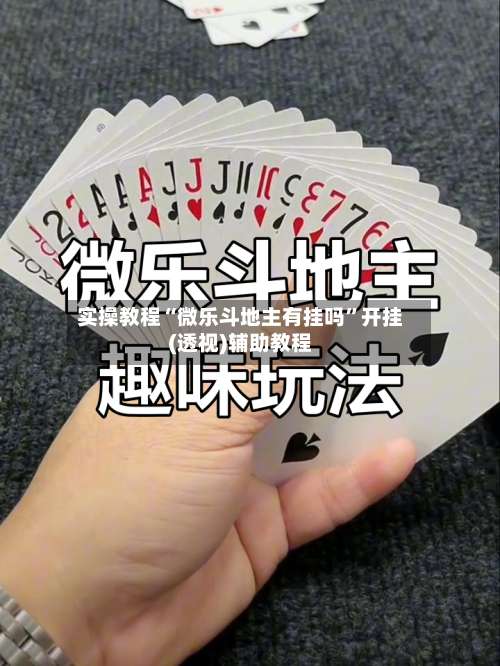 实操教程“微乐斗地主有挂吗”开挂(透视)辅助教程-第1张图片