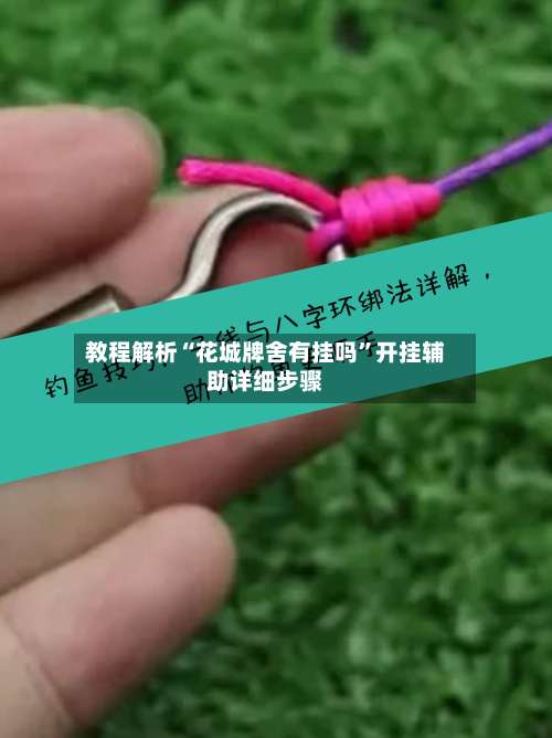 教程解析“花城牌舍有挂吗	”开挂辅助详细步骤-第1张图片