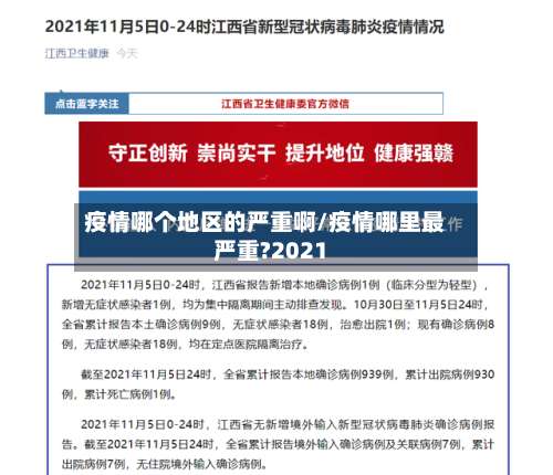 疫情哪个地区的严重啊/疫情哪里最严重?2021-第3张图片