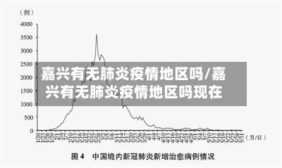 嘉兴有无肺炎疫情地区吗/嘉兴有无肺炎疫情地区吗现在-第3张图片
