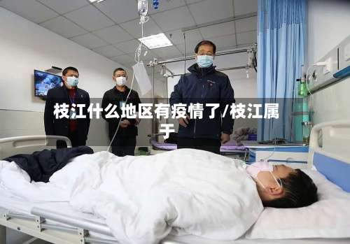 枝江什么地区有疫情了/枝江属于-第2张图片