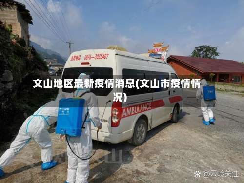 文山地区最新疫情消息(文山市疫情情况)-第2张图片
