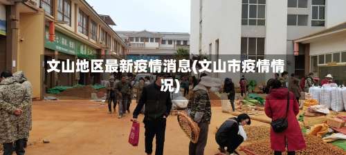 文山地区最新疫情消息(文山市疫情情况)-第3张图片